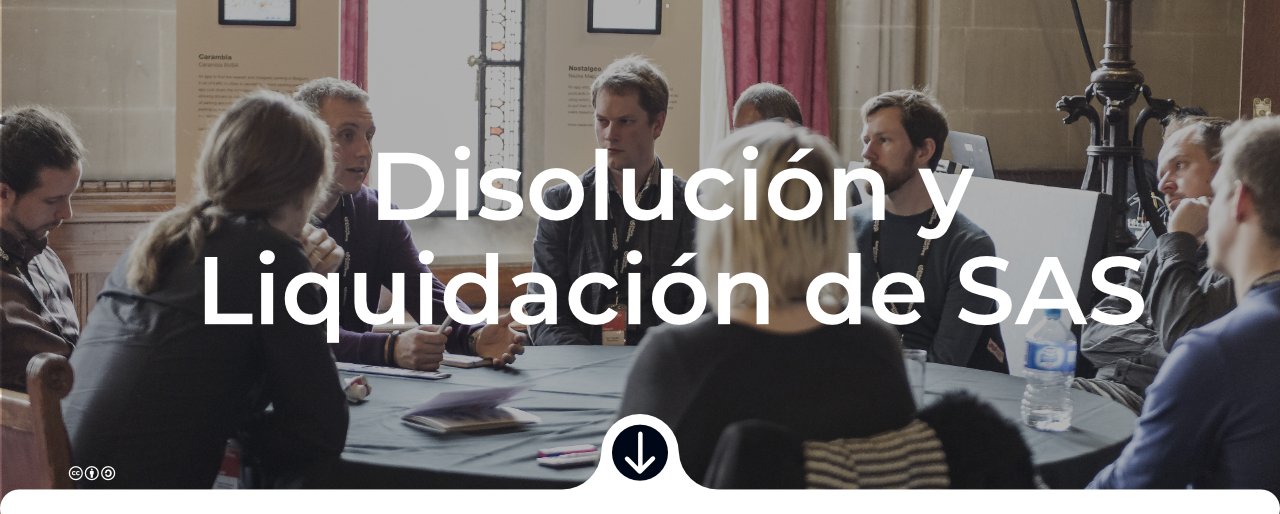 Disolución y Liquidación SAS