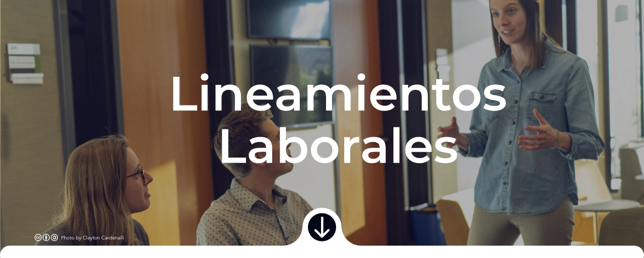 Lineamientos Laborales